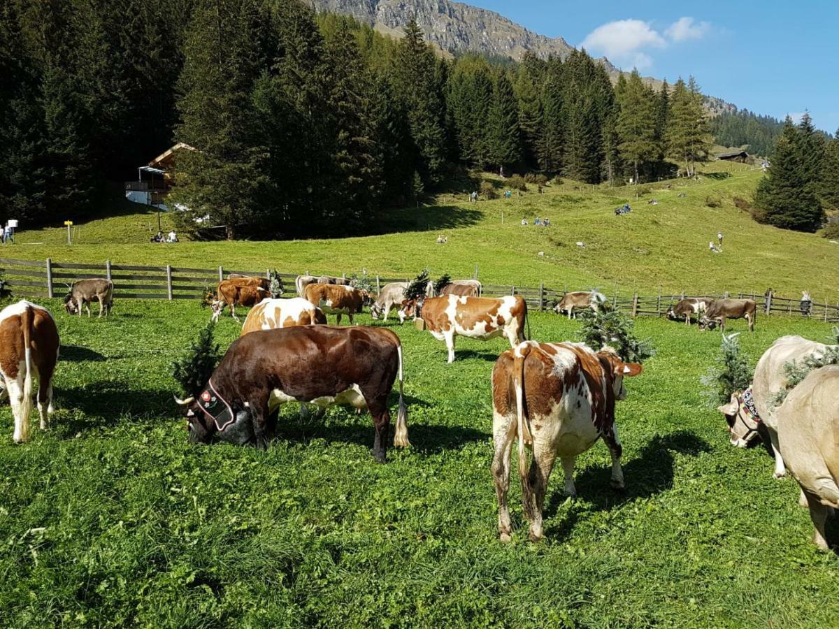 Eberl'S Zirbenlodge Ginzling Exteriér fotografie