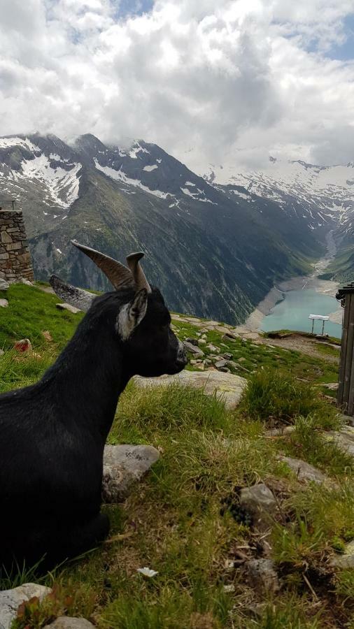 Eberl'S Zirbenlodge Ginzling Exteriér fotografie