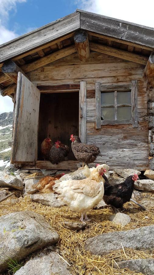 Eberl'S Zirbenlodge Ginzling Exteriér fotografie