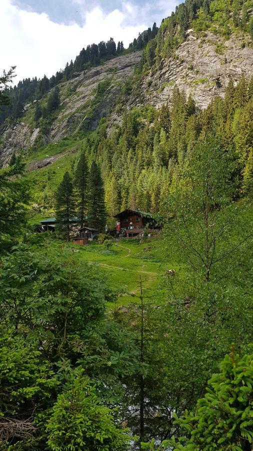 Eberl'S Zirbenlodge Ginzling Exteriér fotografie