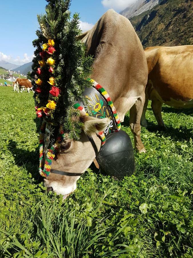 Eberl'S Zirbenlodge Ginzling Exteriér fotografie